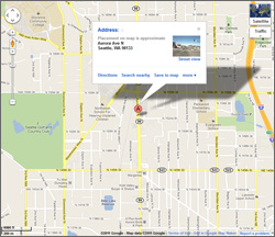 google map