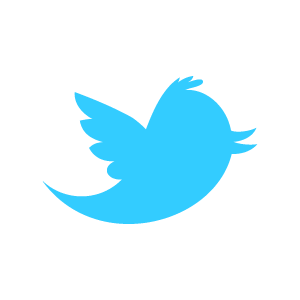 twitter icon